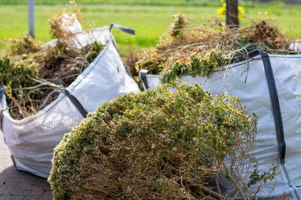 Best Junk Removal for Businesses  in South Rockwood, MI
