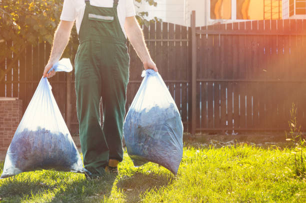Best Furniture Removal Near Me  in South Rockwood, MI