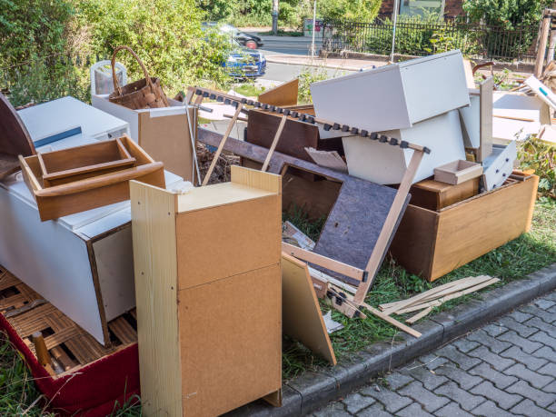 Best Yard Cleanup Services  in South Rockwood, MI