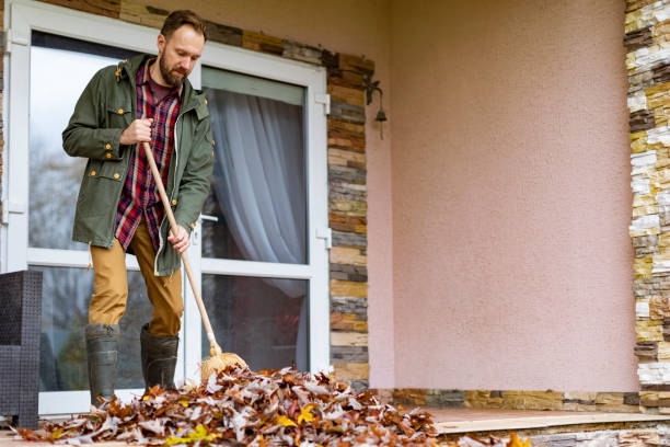 Yard Cleanup Services in South Rockwood, MI