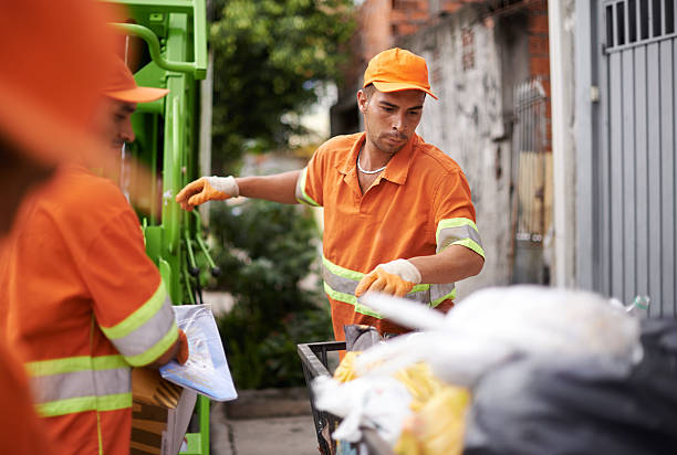 Best Dumpster Rental Services  in South Rockwood, MI