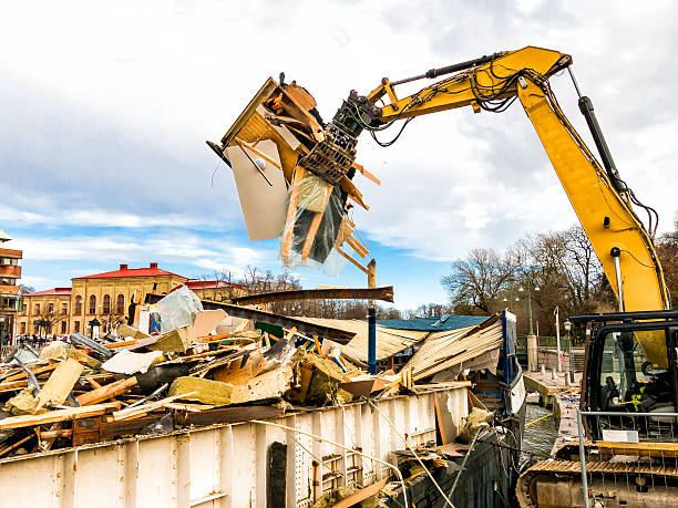 Best Yard Cleanup Services  in South Rockwood, MI